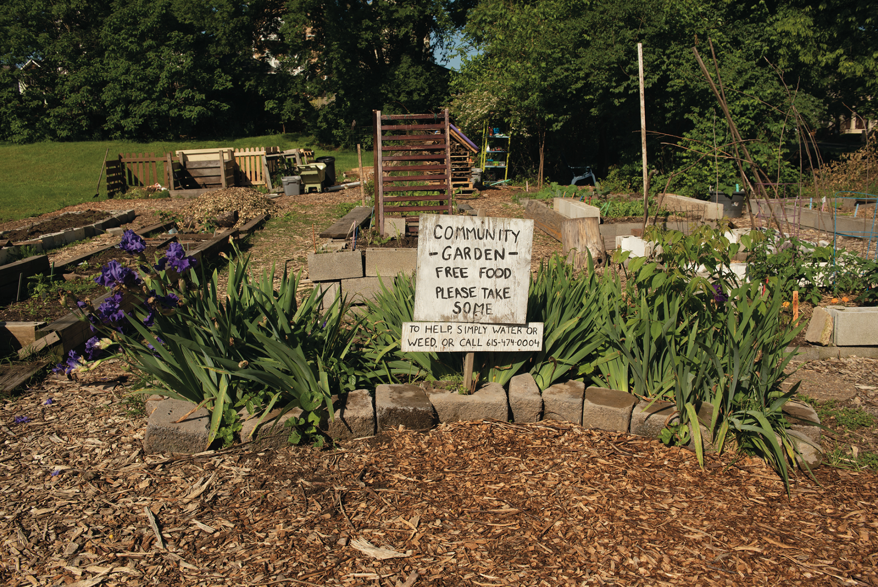 Walk a Mile: Hope Gardens and Buena Vista